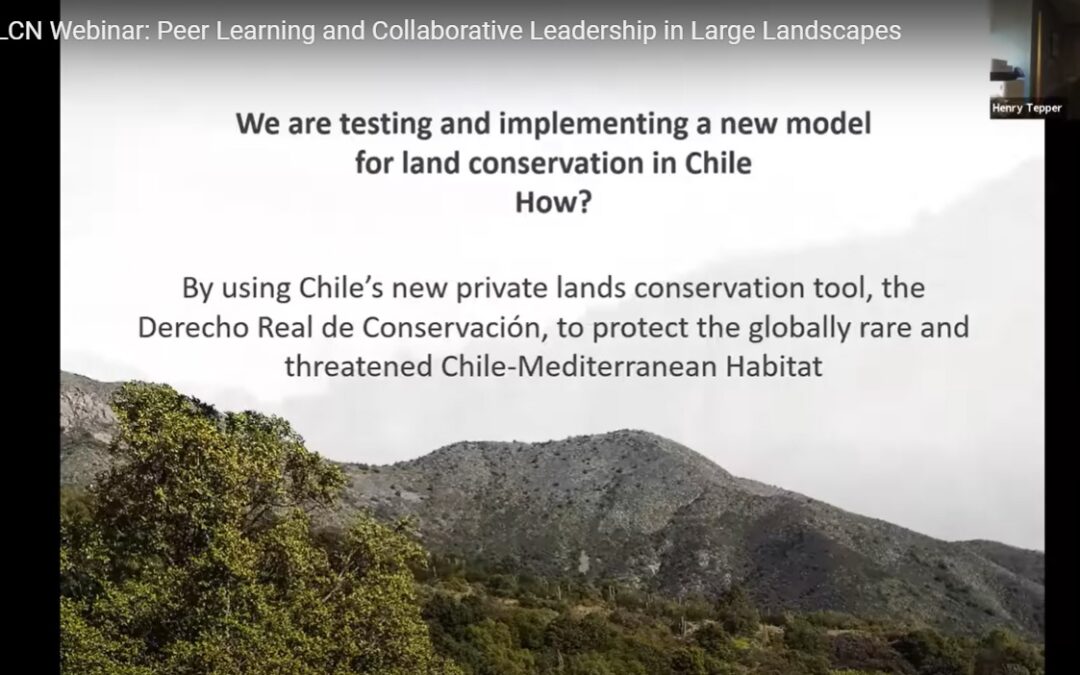Participación en el congreso global del ILCN
