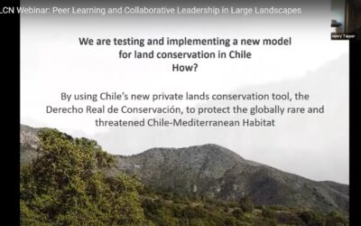 Participación en el congreso global del ILCN
