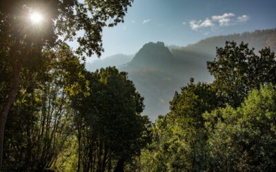 Fundación Tierra Austral firmó tres acuerdos de Derecho Real de Conservación