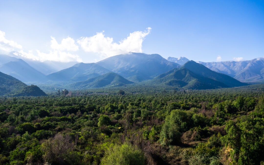 Tierra Austral firma compromiso para establecer un Derecho Real de Conservación en zona de acceso del Santuario San Juan de Piche