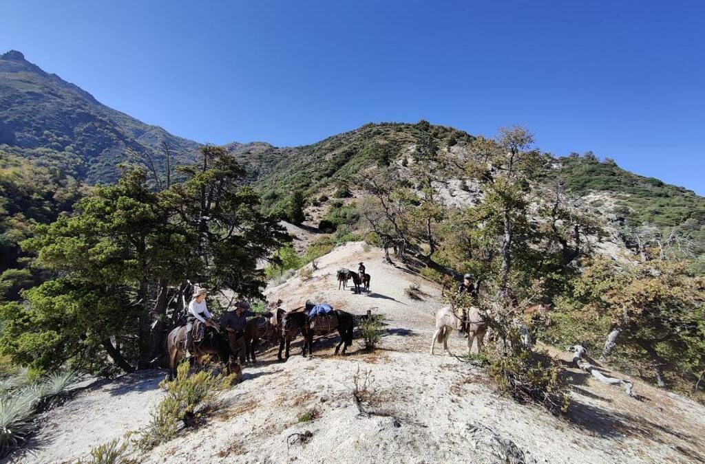 Equipo de Tierra Austral visita sector de Los Queñes