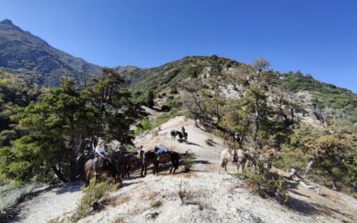 Equipo de Tierra Austral visita sector de Los Queñes