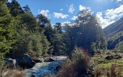 Tierra Austral firma compromiso para establecer un nuevo DRC en Aysén