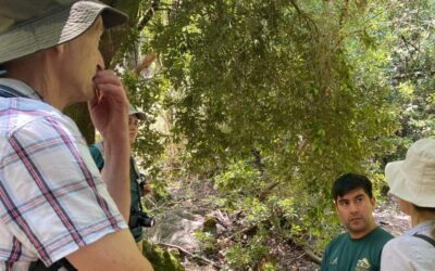 ¡Visitas en el Santuario Cerro Poqui!