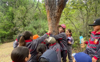 Día mundial de la Educación Ambiental