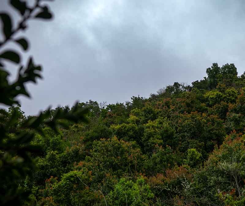 Reserva Natural San Jorge