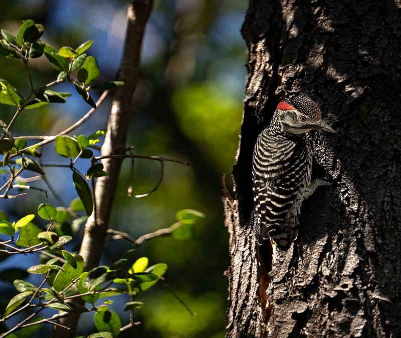 Reserva Natural Los Molles