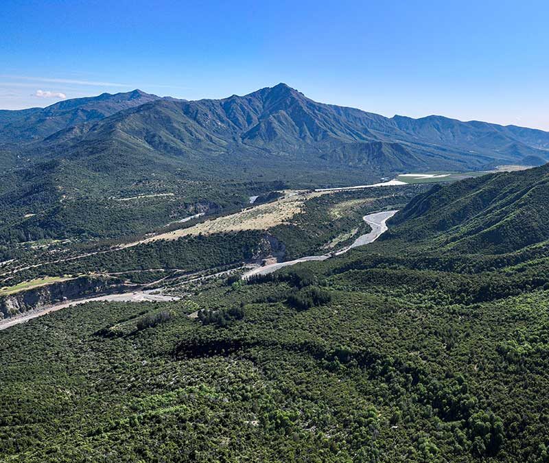Bosques del Tinguiririca