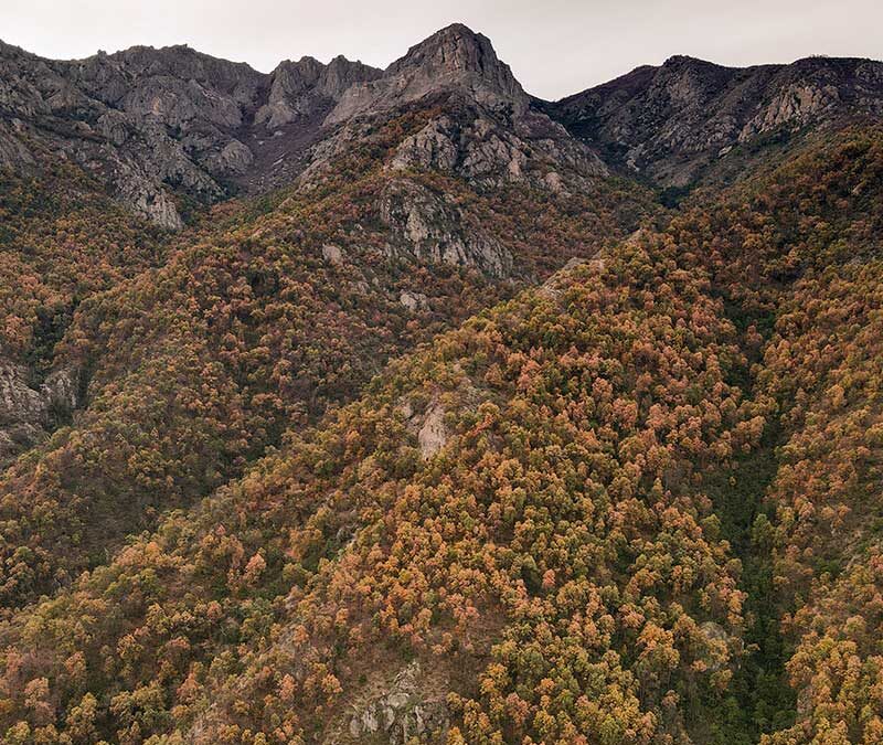 Santuario de la Naturaleza Cerro Poqui