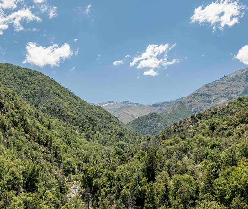 Parque Cuenca Andina