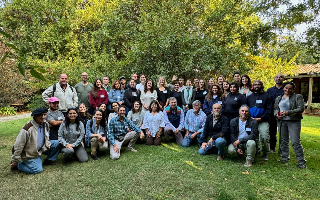 Un espacio de encuentro y colaboración