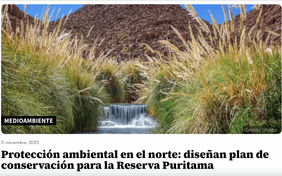 Tierra Austral en la prensa | Protección ambiental en el norte: Diseñan plan de conservación para la Reserva Puritama
