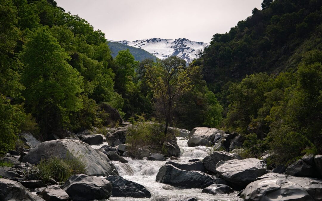 OPINIÓN | Diez años del Derecho Real de Conservación: celebrando una conservación sensible e inclusiva