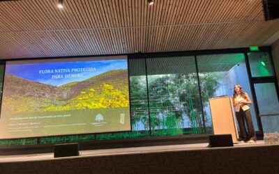 Participamos en el IX Congreso de Flora Nativa: Puedes leer nuestra presentación acá
