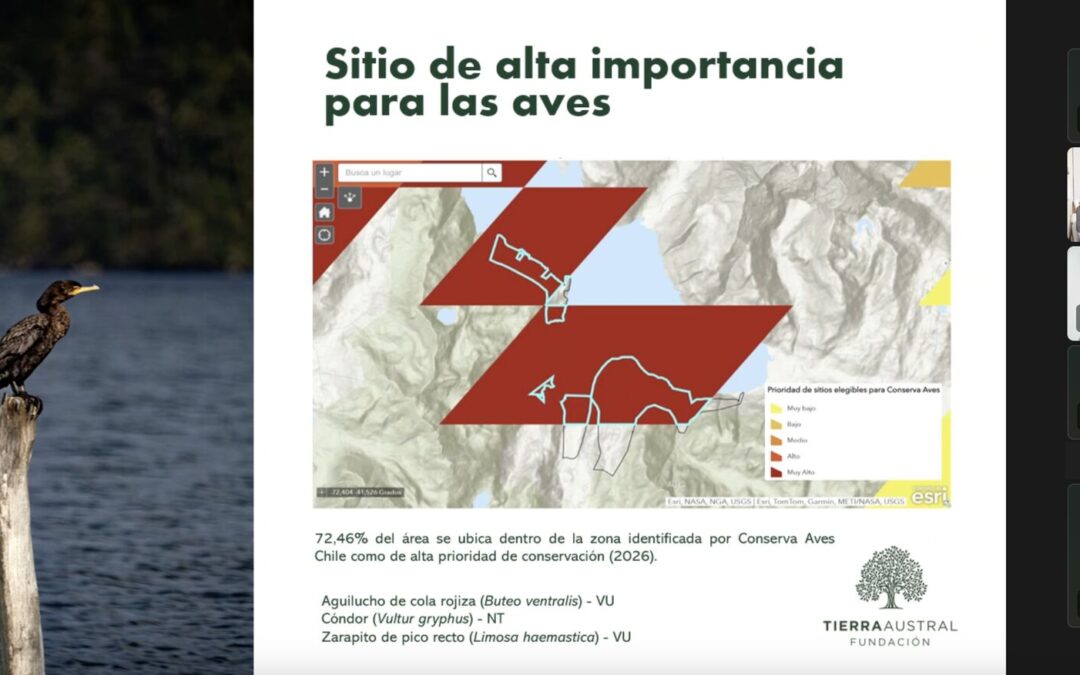 Presentamos nuestro trabajo ante comité por la conservación de aves del Ministerio del Medio Ambiente