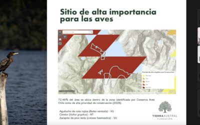 Presentamos nuestro trabajo ante comité por la conservación de aves del Ministerio del Medio Ambiente