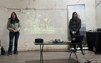 Presentamos el Plan de Manejo de la Reserva Natural Los Molles
