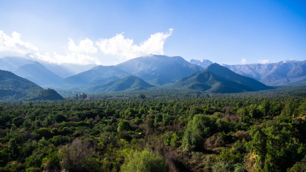Tierra Austral signs a commitment to establish a Derecho Real de Conservación in an area next to the San Juan de Piche Nature Sanctuary.