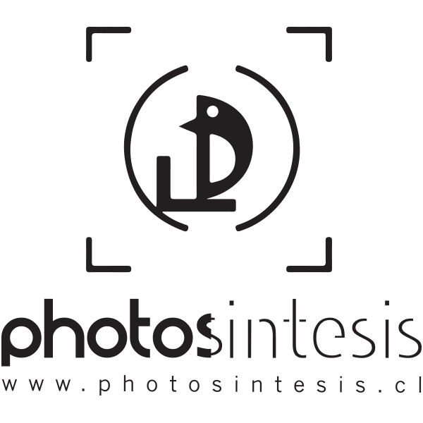 Photosintesis